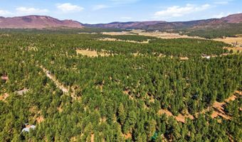 11 County Road 2135, Alpine, AZ 85920