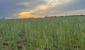 0 County Road 18, Ames, NE 68621