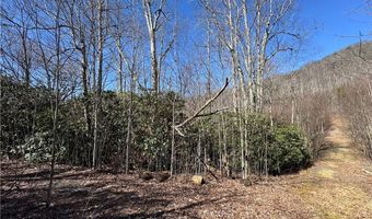 Lot # 70 Tall Tree Lane, Banner Elk, NC 28604