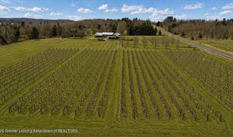 8370 Lakeview Rd, Alanson, MI 49706