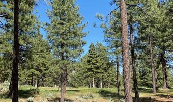 3541 Golf Club Dr 1, Carson City, NV 89705