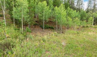 427 Wise Rd, Bailey, CO 80421