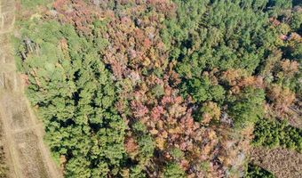 TBD Binnicker Bridge Road, Bamberg, SC 29003