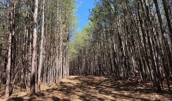 MOUNTAIN CUT RD lot D, Appomattox, VA 24522