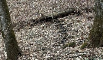 Simons Rd, Alma, WI 54610