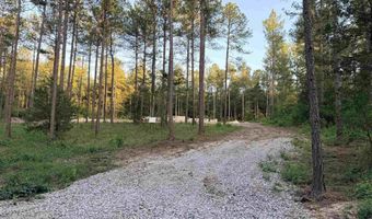 317 Tarpon Rd, Batesburg, SC 29006