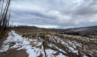 2025 Granite Rd, Bellvue, CO 80512
