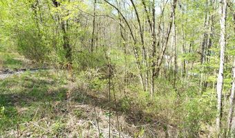 Bannick Springs Road, Whittier, NC 28789