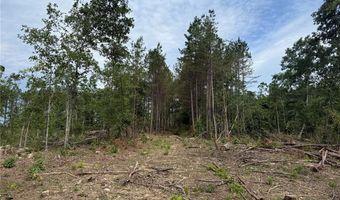 Tract 2 Hidden Valley, Annapolis, MO 63628