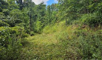 97 Destination Dr, Asheville, NC 28806