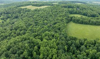 000 Bear Ridge Rd, Albright, WV 26519