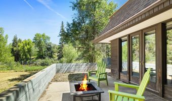 820 Twining Flats Rd, Aspen, CO 81611