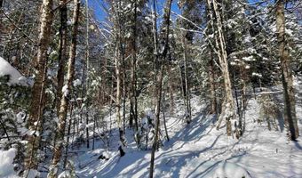 00 Marshall Newland Rd, Burke, VT 05832