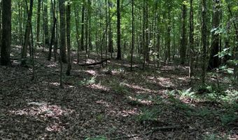 Cr 244, Abbeville, MS 38601