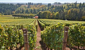6990 SE EOLA HILLS Rd, Amity, OR 97101