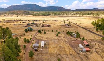 4 County Road 2110, Alpine, AZ 85920