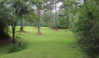429 River Road Dr, Bogue Chitto, MS 39629