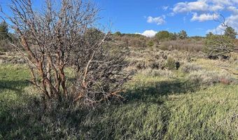 Lot 16 Primrose Lane, Bayfield, CO 81122