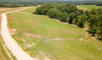 17-93 STEWMAN CREEK LANDING Rd Lot 17-93, Bath Springs, TN 38311