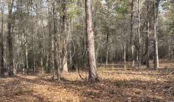 2423 Mill Creek Rd, Bethune, SC 29009