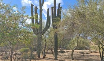 5141 E RANCHO TIERRA Dr, Cave Creek, AZ 85331