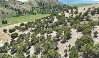 2006 Swenson Valley Rd, Bancroft, ID 83217