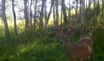 2815 N BLACK SHEEP FARM Rd, Alta, WY 83414