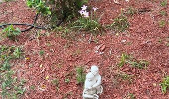 6803 NW 168TH St, Alachua, FL 32615