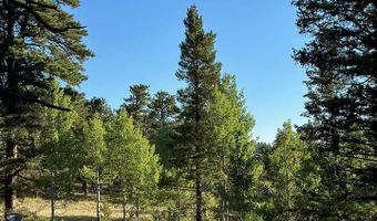 251 Haugen Slide Rd, Allenspark, CO 80510