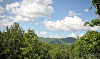 68 Wolfebridge Ln 16, Asheville, NC 28804