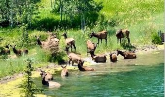 800 DELL Crk, Alpine, WY 83128