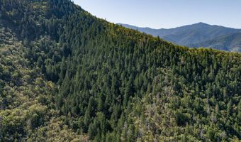 Humbug Cr Road, Applegate, OR 97530