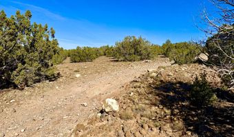 Kirkland DR 20 Acres, Concho, AZ 85924
