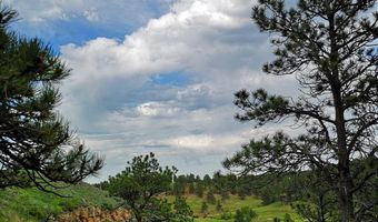 Lot 3 BBCR Road, Belle Fourche, SD 57717