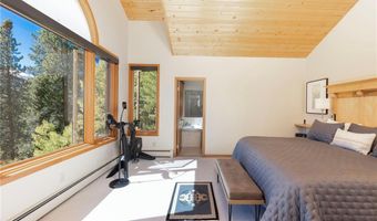 1139 BOREAS PASS Rd, Breckenridge, CO 80424