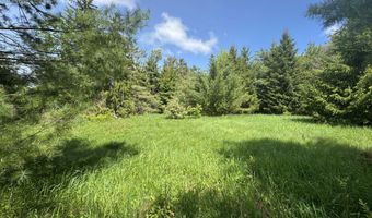 LOT 3 E WEST RESORT ROAD, Alanson, MI 49706