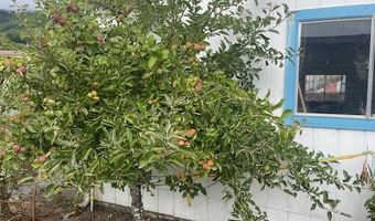 98620 CAMELLIA Dr, Brookings, OR 97415