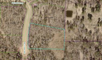 OAK CREST Court SW lot 13, Backus, MN 56435