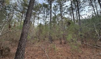 Lot C112 DOCK SIDE Lane, Lincolnton, GA 30817