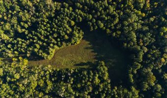 501 Caldwell Rd, Blacksburg, SC 29702