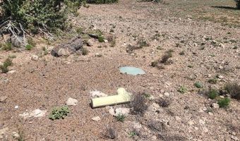 N xxxxx Road 249A, Ash Fork, AZ 86320