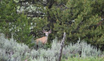 58 Upper Moose Hill Rd, Big Sky, MT 59716