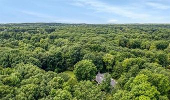 2175 Curtis Rd, Addison, MI 48367
