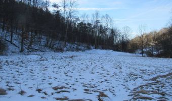297 Woodburn Run Rd, Alma, WV 26320