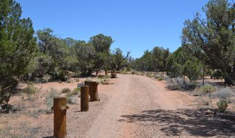 82 5020, Concho, AZ 85924