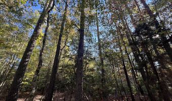 0 Bar M Farm Rd, Andalusia, AL 36421