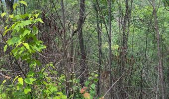 88 Acres Bolden Br, Andrews, NC 28901