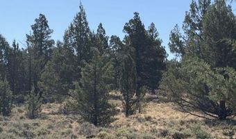 Co. Rd lot 75, Alturas, CA 96101