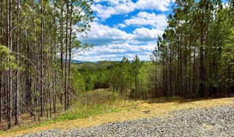 Tract 13 Athens Road, Calhoun, TN 37309