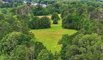 Vine Drive, Brandon, MS 39047
